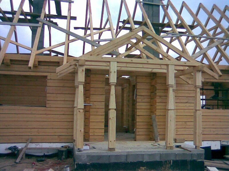 Modernizacja i rewaloryzacja budynków o konstrukcji drewnianej i jej skutki mykologiczne