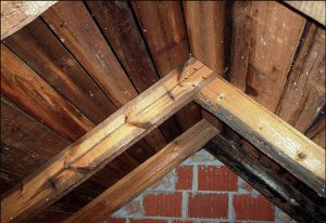 Fot. 1. Więźba dachowa i poszycie wykonane z drewna ze słupów telekomunikacyjnych.