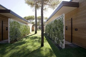 Campina Marina – botaniczna architektura