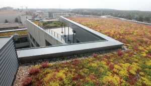 Zielony dach dzięki rozwiązaniom systemowym Bauder